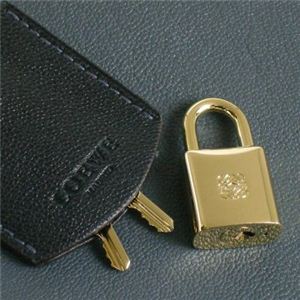 Loewe(ロエベ) ショルダーバッグ AME 318.21.B37 ブルー